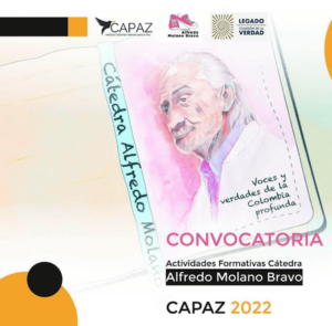 convocatoria comisión de la verdad